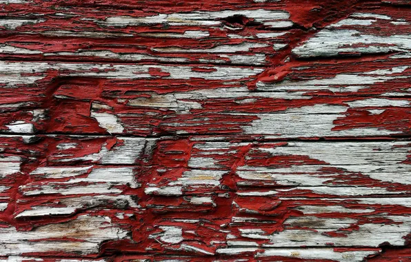 Picture red, tree, paint, color, texture