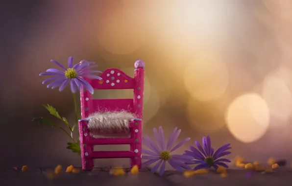 Picture flowers, Board, bokeh, chair