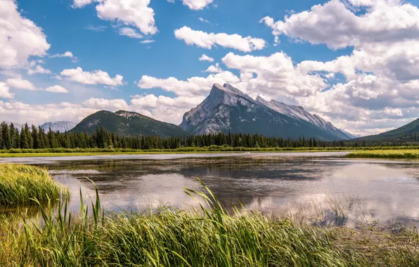 Forest, summer, the sky, grass, clouds, mountains, reflection, rocks