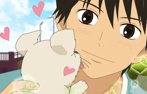 The sky, joy, face, hearts, puppy, guy, licks, Yago-san and Yamionpu