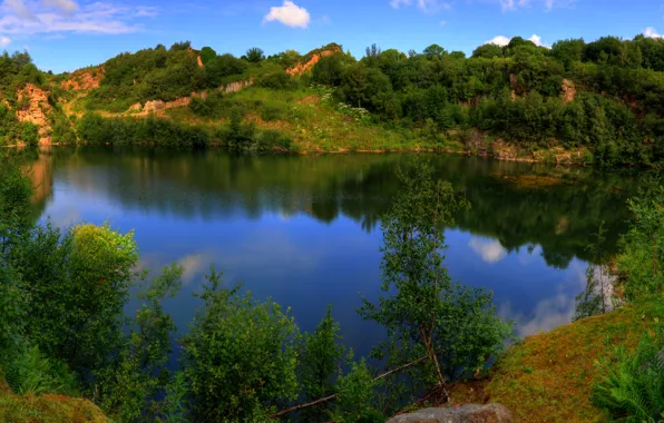 Summer, trees, lake, stones, the bushes