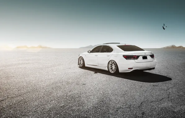 Picture Lexus, white, wheels, LS460