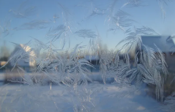 Ice, glass, pattern, frost