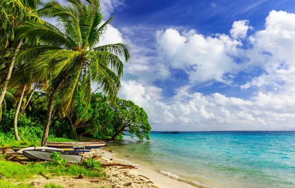 Picture sand, sea, beach, palm trees, shore, summer, beach, sea