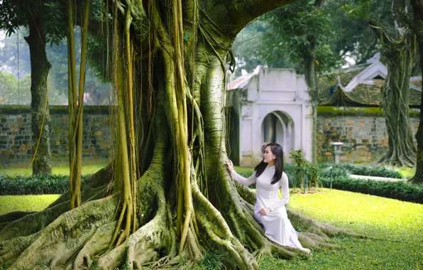 Picture trees, garden, dress, walk, Asian