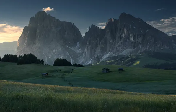 Field, mountains, Alps, houses