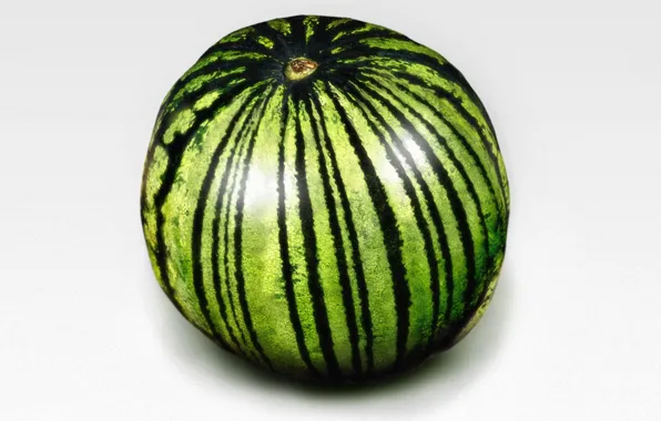 Picture line, Minimalism, watermelon