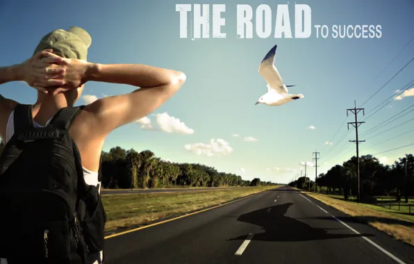 Road, bird, young, man, energy, men, guy, path
