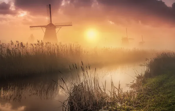 The sky, grass, the sun, clouds, light, fog, pond, reflection