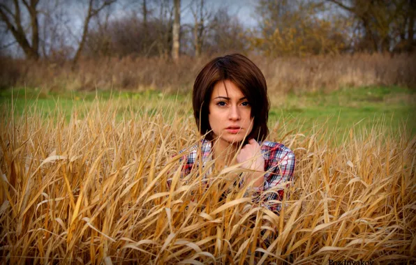 Field, look, face, grove, Anna