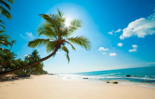Sand, beach, the sky, the sun, clouds, stones, the ocean, Palm trees