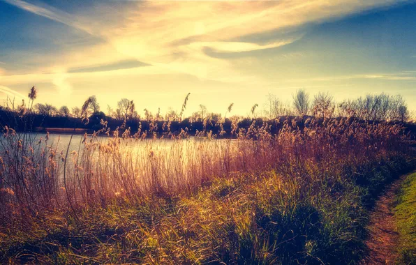 Picture the sky, grass, the sun, clouds, lake, the bushes