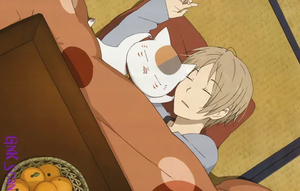 Cat, sleep, blanket, guy, art, tangerines, kotatsu, tatami