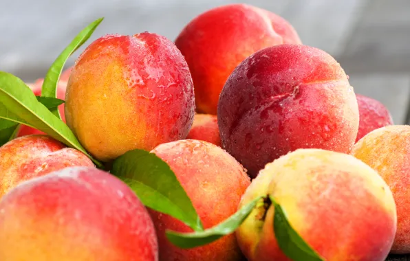 Leaves, fruit, peaches, nectarine