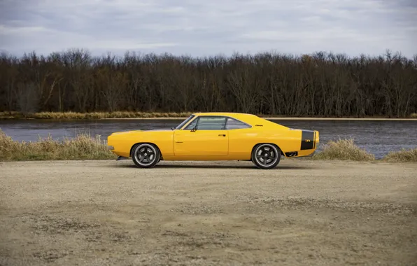 1969, Dodge, Charger, Yellow, Side, Dodge Charger, Road, Lake
