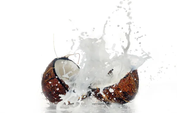 Picture BACKGROUND, WHITE, DROPS, DRINK, LIQUID, SQUIRT, MACRO, COCONUT