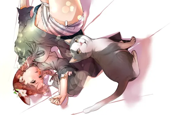 Bokeh, flower in hair, kitty, lying on the floor, striped panties, cat ears, Touhou Project, …