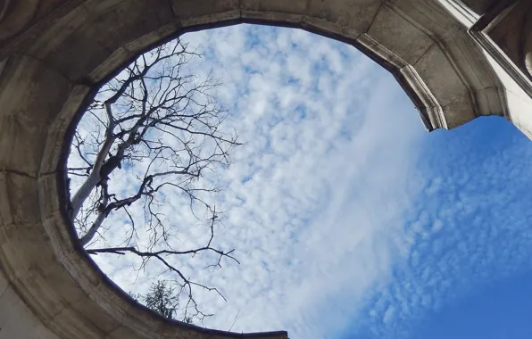 The sky, clouds, photo, tree, cloud, gazebo, widescreen, background