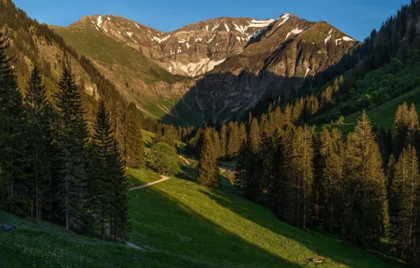 Forest, the sun, trees, mountains, trail, Germany, Bayern, Alps