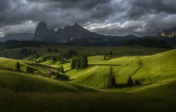 Greens, forest, mountains, hills, field, Alps, houses