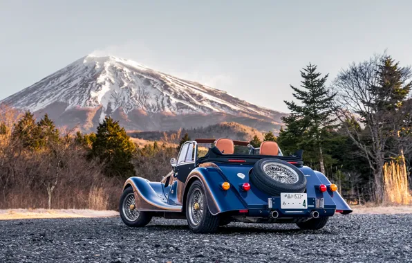 Morgan, rear view, Plus Four, Morgan Plus Four