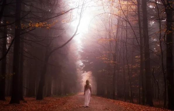 ROAD, FOREST, LEAVES, DRESS, TREES, MOOD, DAL, AUTUMN