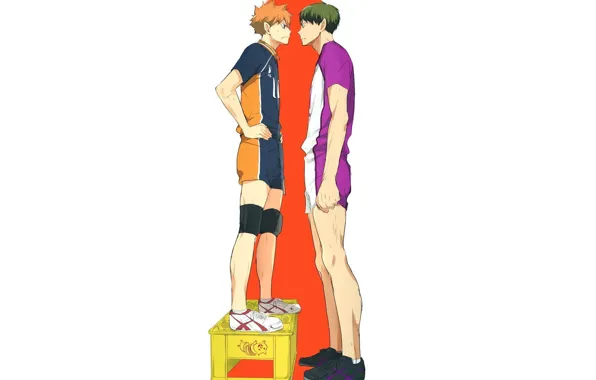 Guys, box, Volleyball, Haikyuu, Hinata,, Ushijima Of Takatoshi