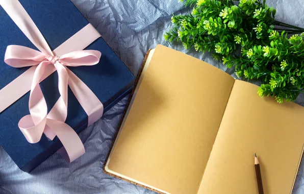 Notepad, bow, box, Gift