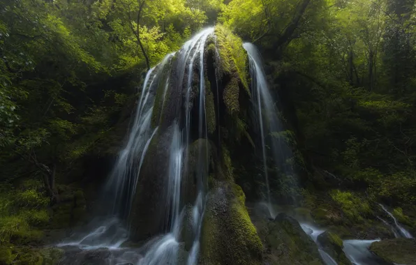 Forest, light, nature, river, waterfall