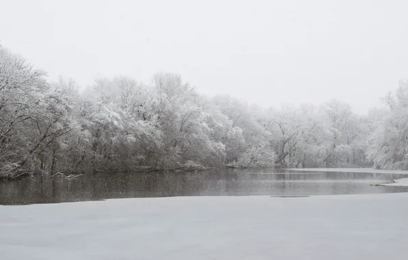 Picture river, trees, winter, snowing