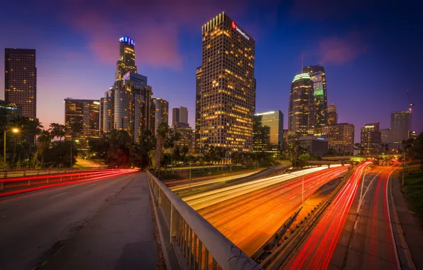 Picture Lights, Bridge, Night, The city, Skyscrapers