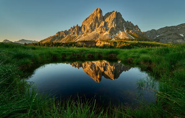 Greens, forest, summer, the sky, grass, mountains, lake, reflection