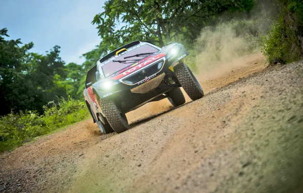 Sand, 2008, Sport, Speed, Race, Skid, Peugeot, Lights