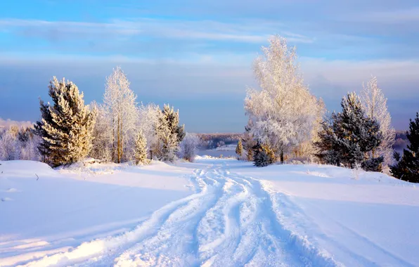 Winter, the sky, snow, trees, Sky, Winter, Snow, Trees