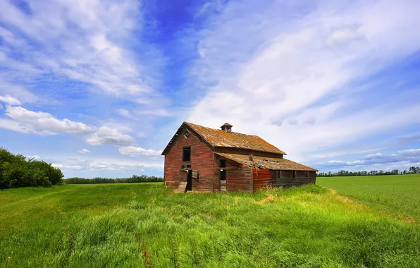 Picture the sky, house, green field