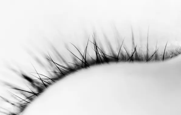 Macro, eyelashes, eyelid