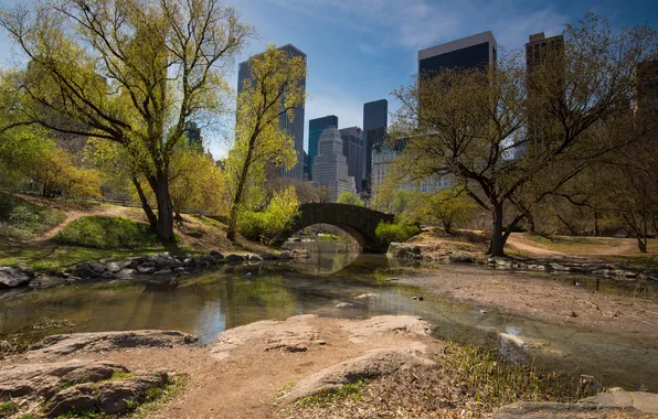 The sky, trees, bridge, home, spring, New York, USA, Central Park
