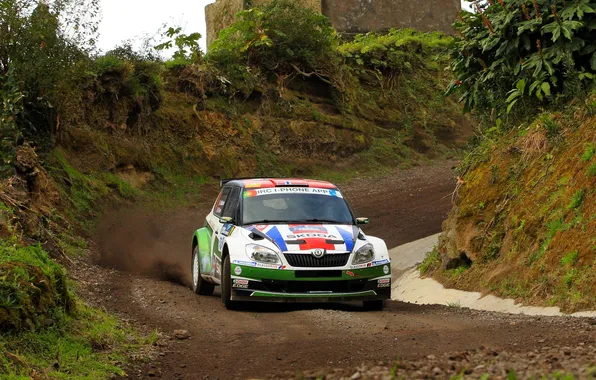 Picture Auto, Sport, Race, WRC, Rally, Rally, The front, Skoda