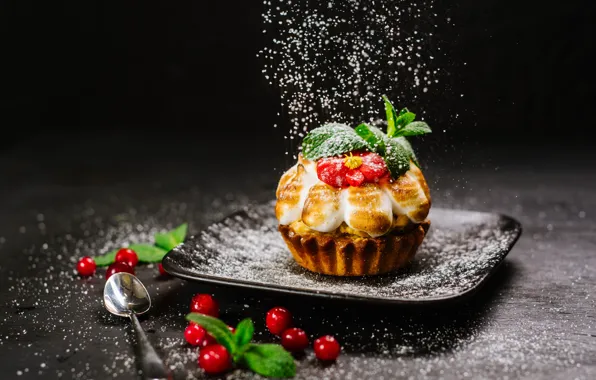 Berries, cake, dessert, powdered sugar, tartlet, cranberry