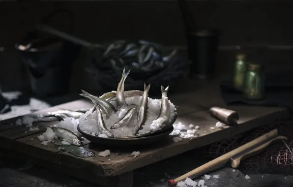 Snow, fish, capelin