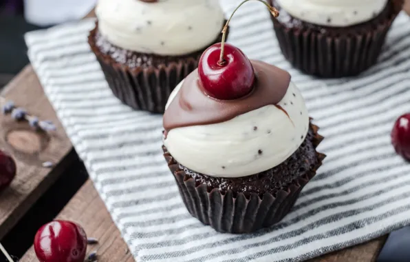 Cherry, food, chocolate, berry, cream, cakes, cakes, cupcake