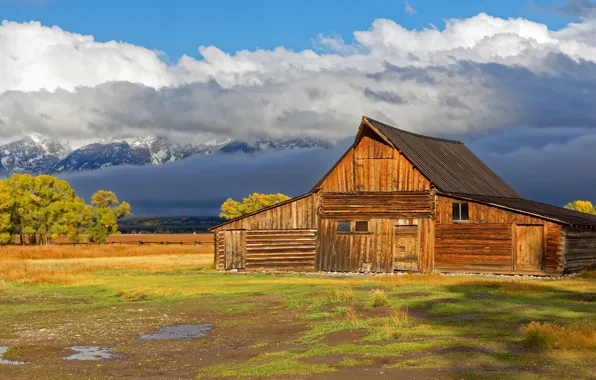 Field, autumn, the sky, clouds, light, trees, mountains, clouds