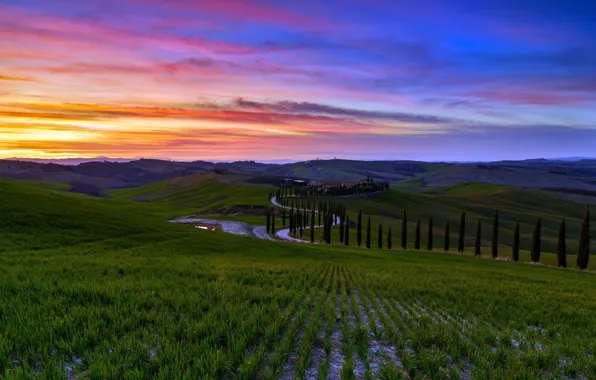 Picture sunset, italy, toscana