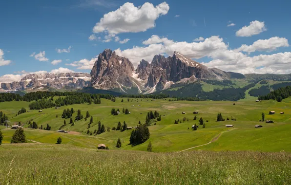 Picture road, field, forest, summer, the sky, grass, clouds, mountains
