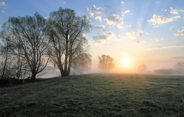 Picture field, landscape, fog, morning