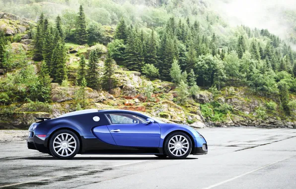 Supercar, Bugatti Veyron, Bugatti, rechange, Veyron