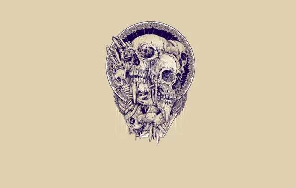Picture background, skull, bones, artist Rafal Wechterowicz
