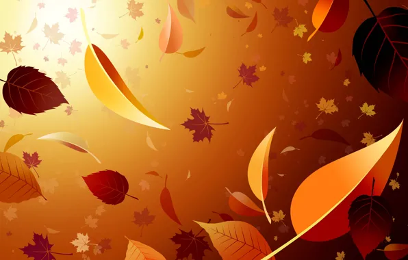 Autumn, leaves, light, Wallpaper, maple, falling leaves
