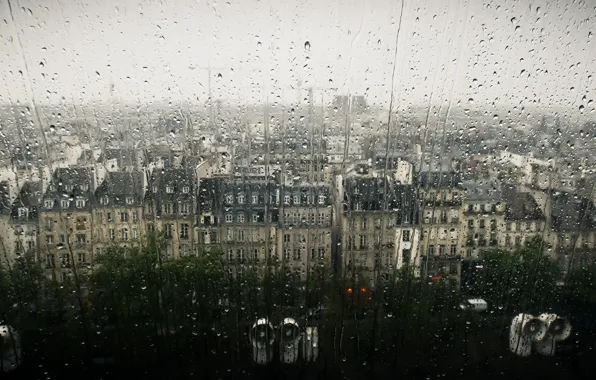 Drops, the city, rain, window