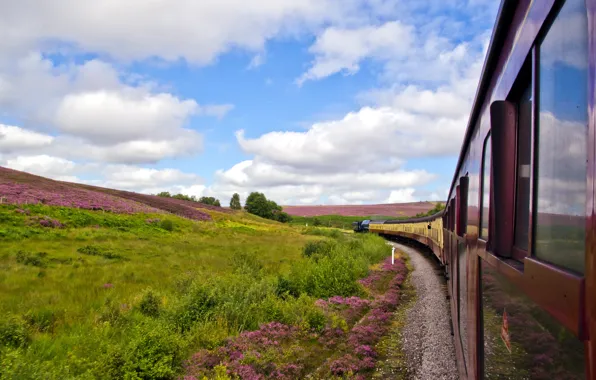 Field, summer, train, railroad